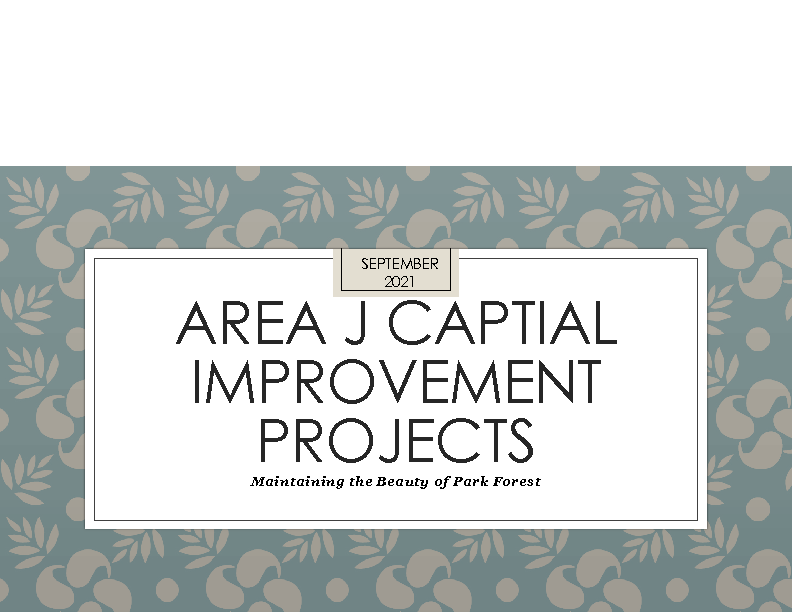 Area J SEPTEMBER Projects